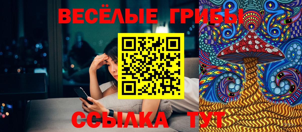 Тольятти  Псилоцибиновые грибы прущие грибы  Вход с VPN 